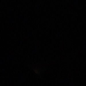 Meet your Posher, Tayler